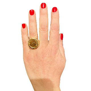 Bague Chevalière en Or Jaune 18k avec un Demi-Napoléon de 10F. Taille 55. Poids : 16,0 Gr