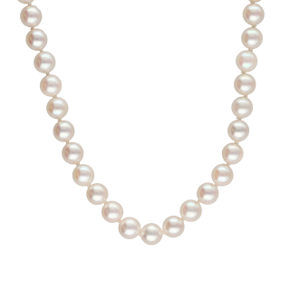 Collier Choker Perles de Culture Mers du Sud 5,5 mm...