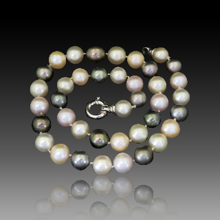 Collier de Perles de Culture des mers du sud 12 mm à 10 mm. Longueur 48cm . Collier de Perles de Culture des mers du sud 12 mm à 10 mm. Longueur 48cm .